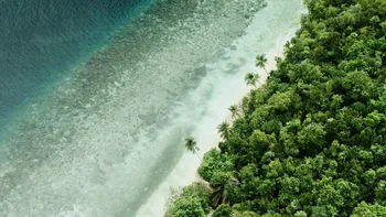 Costa tropical donde se encuentran la tierra  el mar.