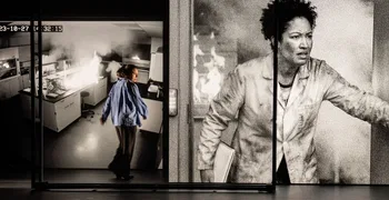 Michael van der Aa, Theory of Flames