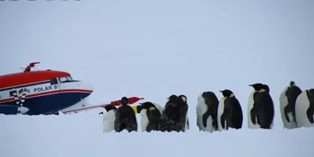 Avión Polar 6 © 2026 by Alfred-Wegener-Institut / Philipp Joppe, MPI für Chemie