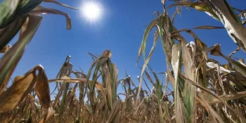 Sequía en Alemania Central en 2018 © 2026 by Alfred-Wegener-Institut / André Künzelmann / Helmholtz-Zentrum für Umweltforschung (UFZ))