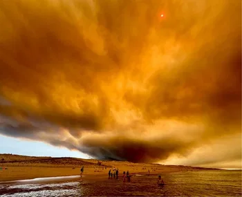Incendio forestal en julio de 2026 en la costa atlántica de Francia © 2026 by Rahmstorf